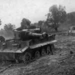 Panther tank vs Tiger tank The Debate of German WW2 Armor 